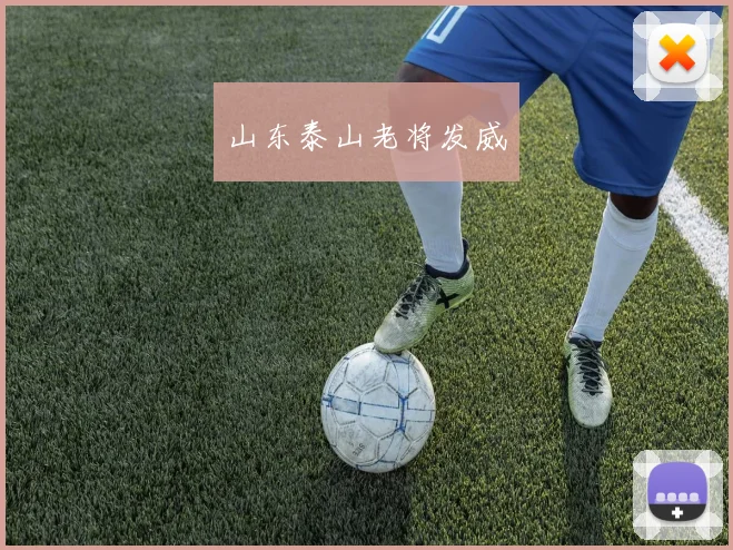 山东泰山老将发威