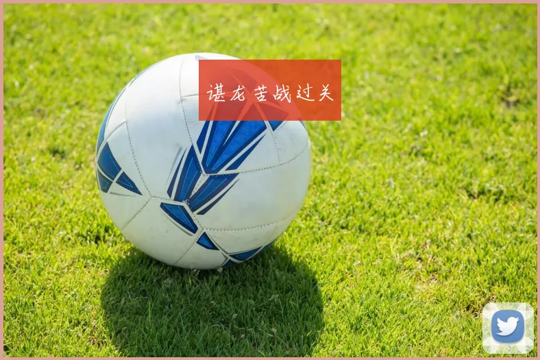 谌龙苦战过关