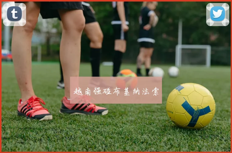 越南强碰布基纳法索