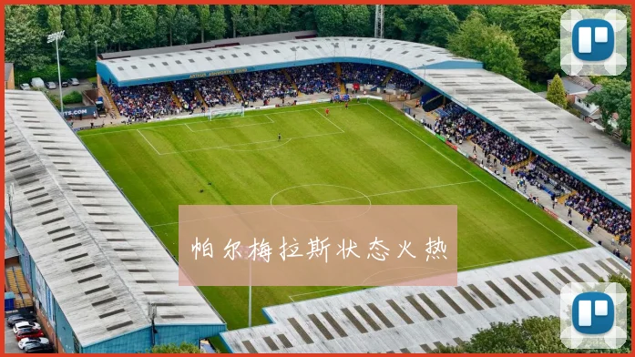 帕尔梅拉斯状态火热