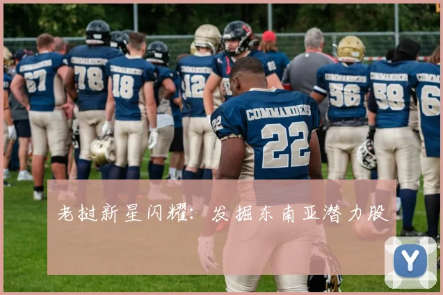 老挝新星闪耀：发掘东南亚潜力股