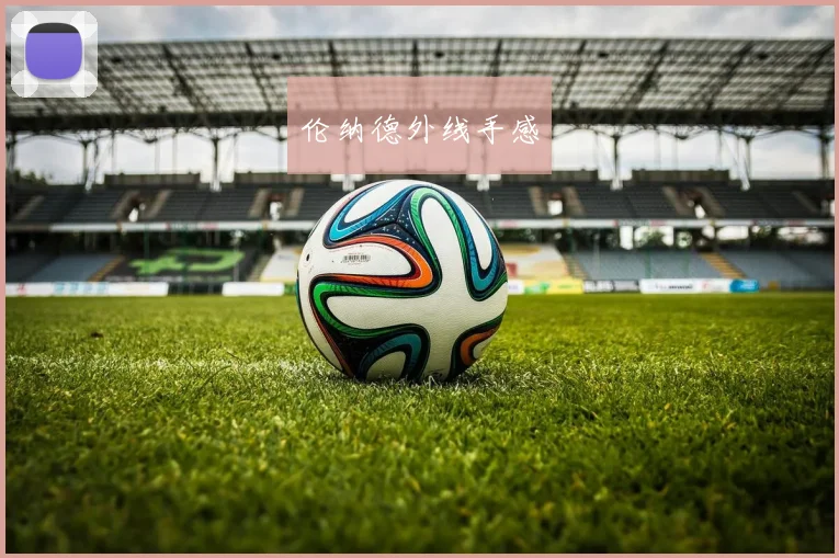 伦纳德外线手感