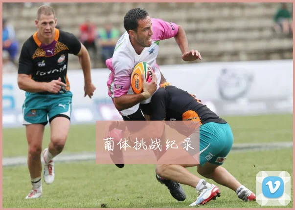 葡体挑战纪录