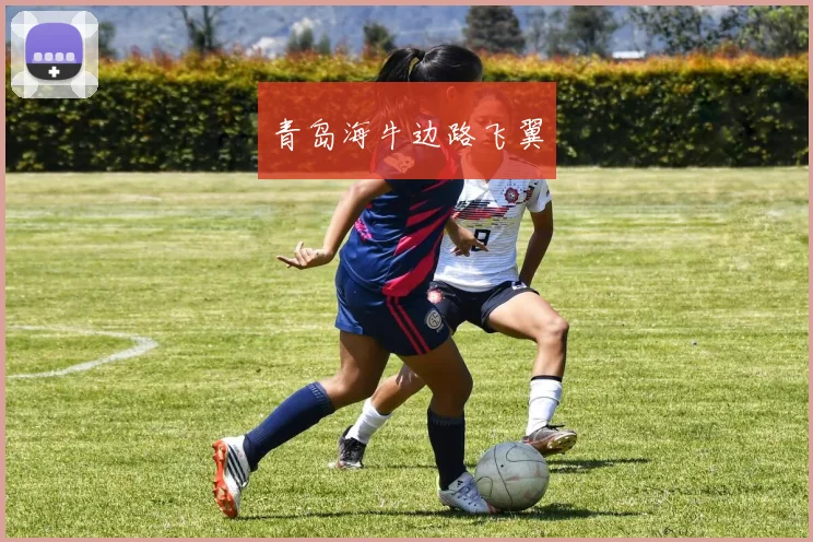 青岛海牛边路飞翼