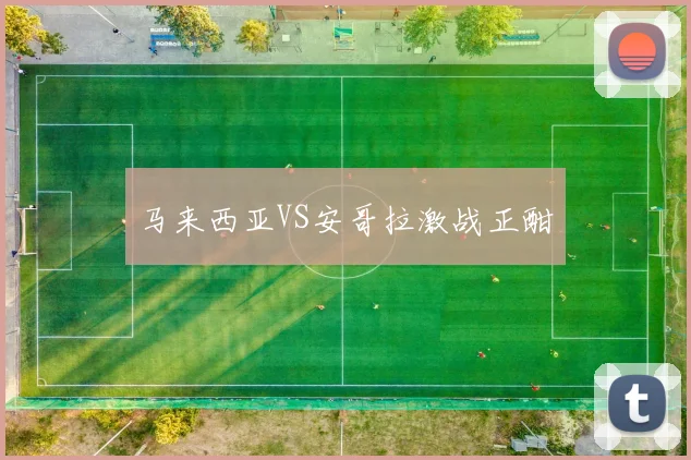 马来西亚VS安哥拉激战正酣