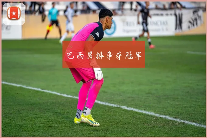 巴西男排争夺冠军
