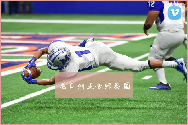 尼日利亚会师泰国