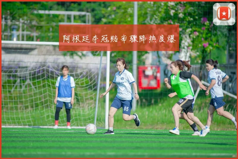 阿根廷夺冠赔率骤降热度爆