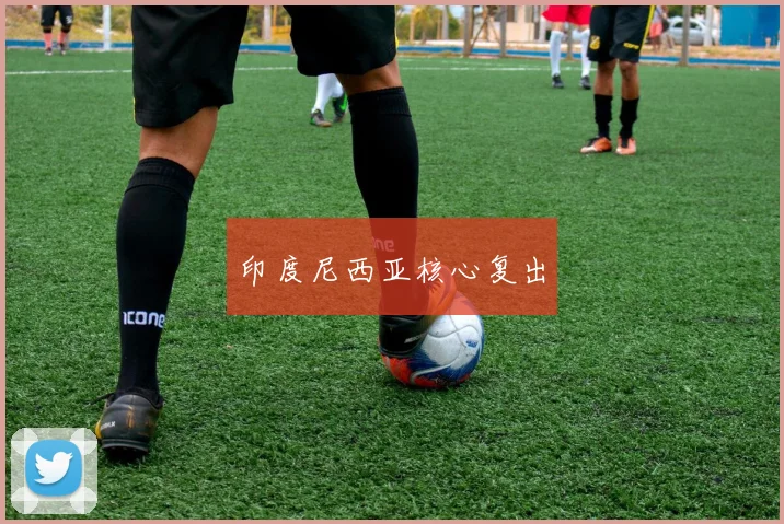 印度尼西亚核心复出