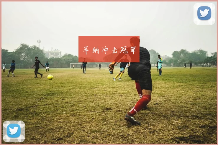 辛纳冲击冠军