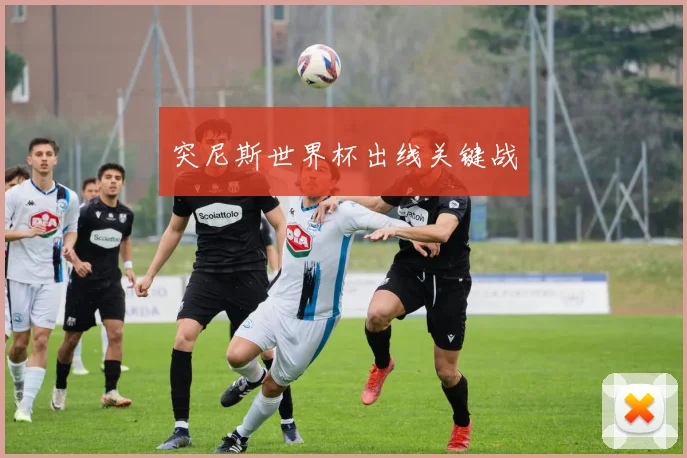 突尼斯世界杯出线关键战