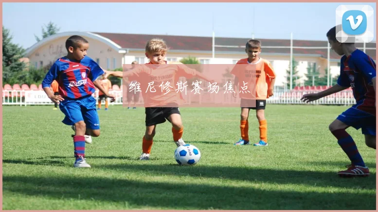 维尼修斯赛场焦点