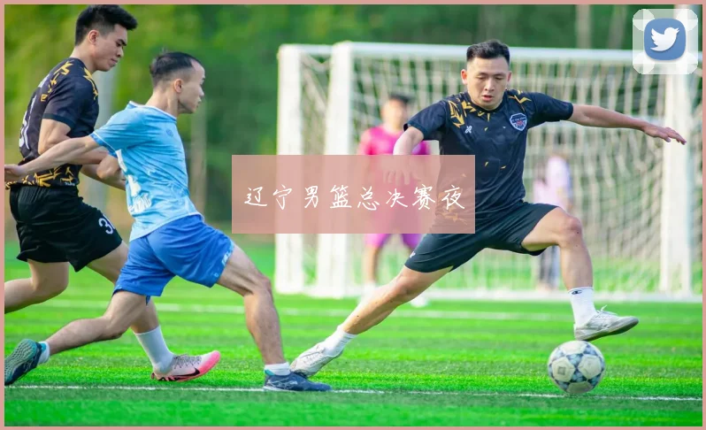 辽宁男篮总决赛夜