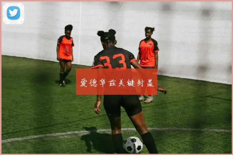 爱德华兹关键封盖