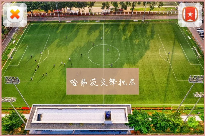 哈弗茨交锋托尼