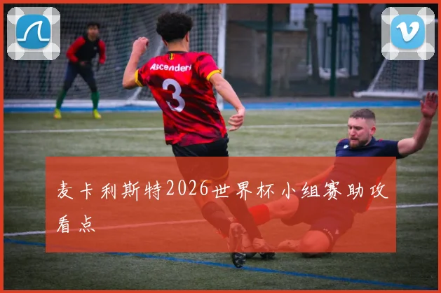 麦卡利斯特2026世界杯小组赛助攻看点
