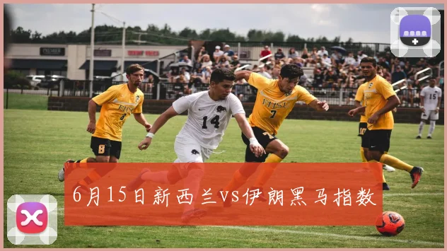 6月15日新西兰vs伊朗黑马指数