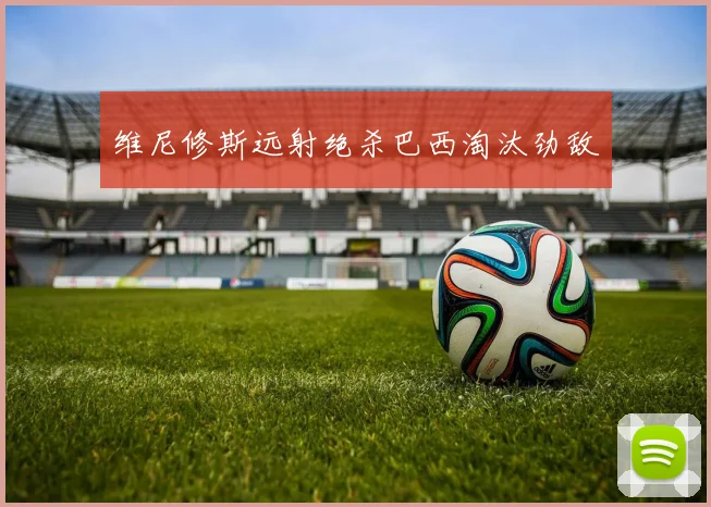维尼修斯远射绝杀巴西淘汰劲敌