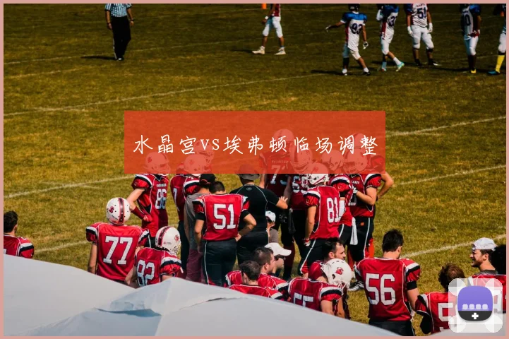 水晶宫vs埃弗顿临场调整