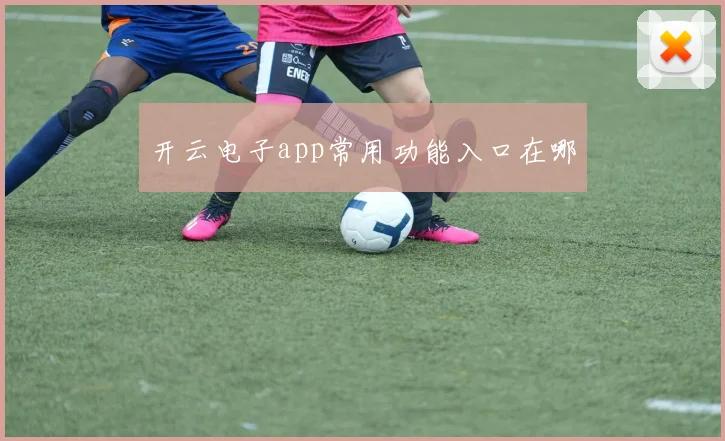 开云电子app常用功能入口在哪