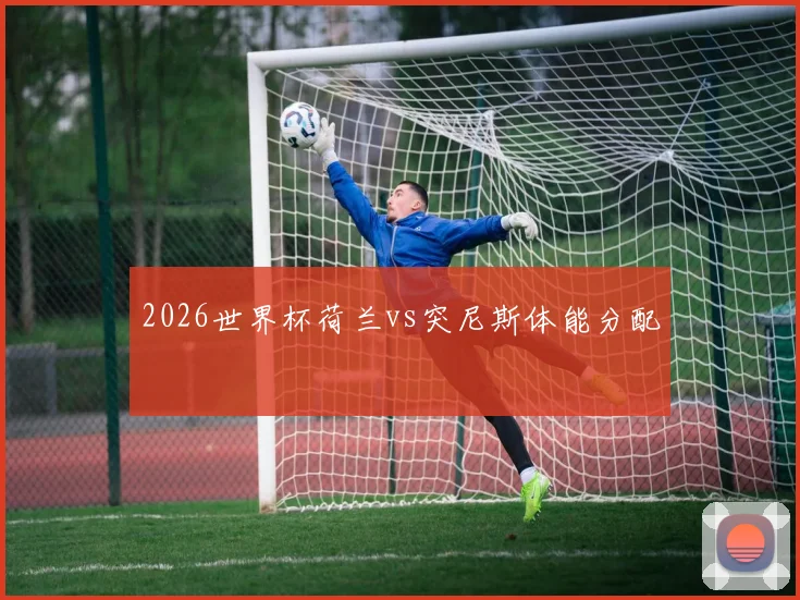 2026世界杯荷兰vs突尼斯体能分配