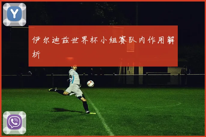 伊尔迪兹世界杯小组赛队内作用解析