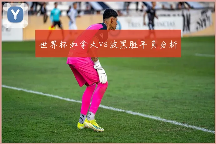 世界杯加拿大vs波黑胜平负分析